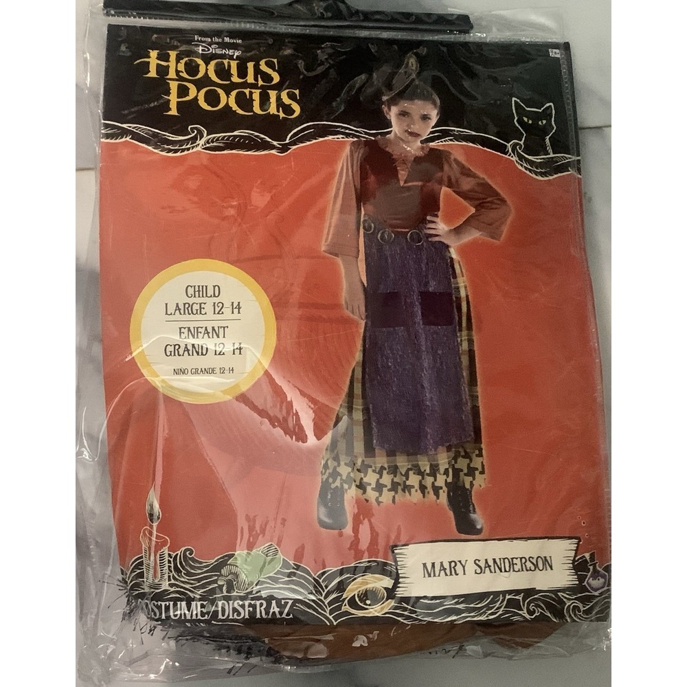 Disney Hocus Pocus‎ Girls Size L 12-14 Halloween Costume